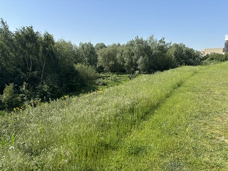 Centenary Riverside Nature Reserve Visit…